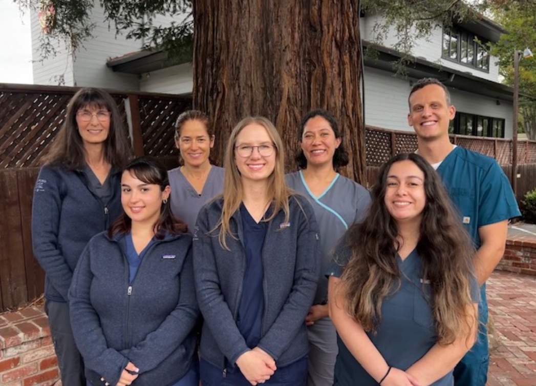 Dentistry Menlo Park CA Team Group