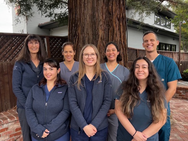 Stanford Family Dental - Dr. Jamie Paychev DDS